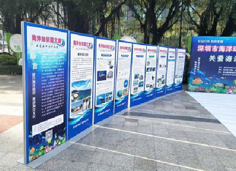 九江KT板的种类和知识。